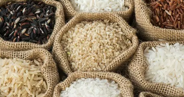 انواع مختلف برنج موجود در بازار جهانی