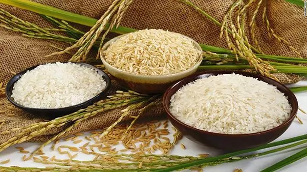 برنج مورد مصرف در مناطق مختلف جهان