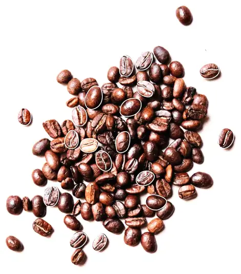 انواع قهوه موجود در بازار