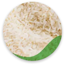 برنج های ایرانی